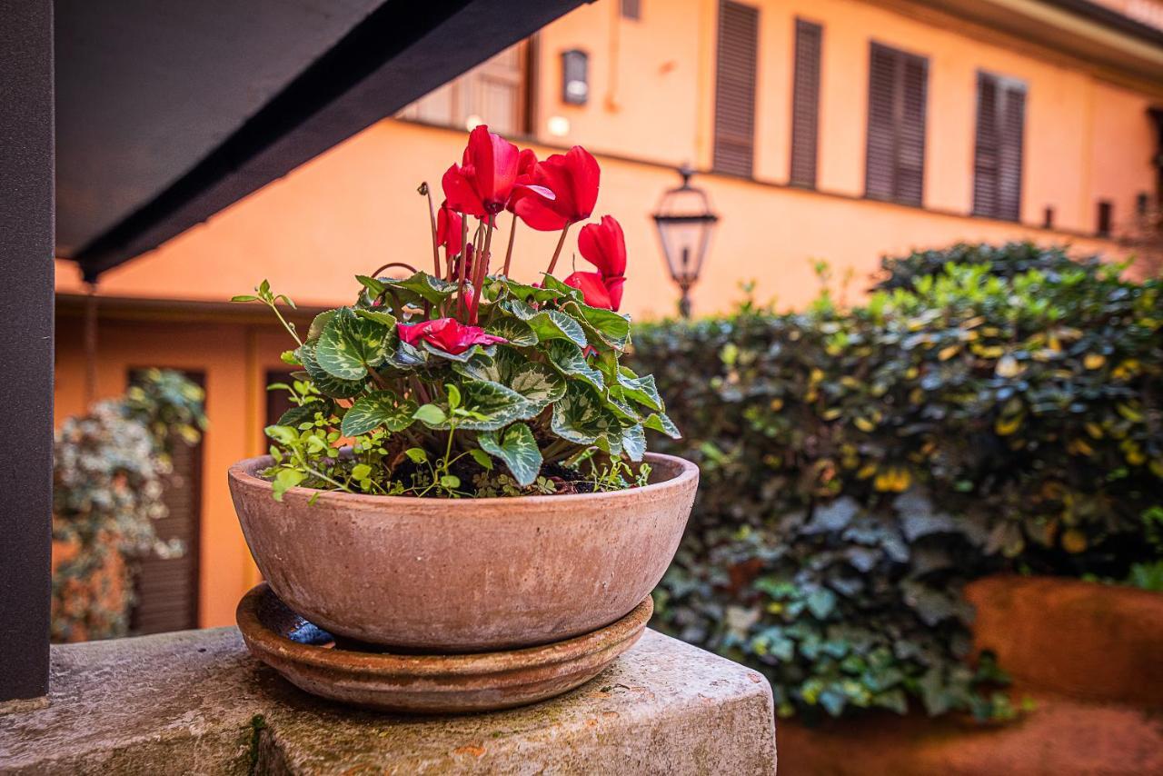 Cosy Studio In The Greenest Corner Of Trastevere Rome Luaran gambar