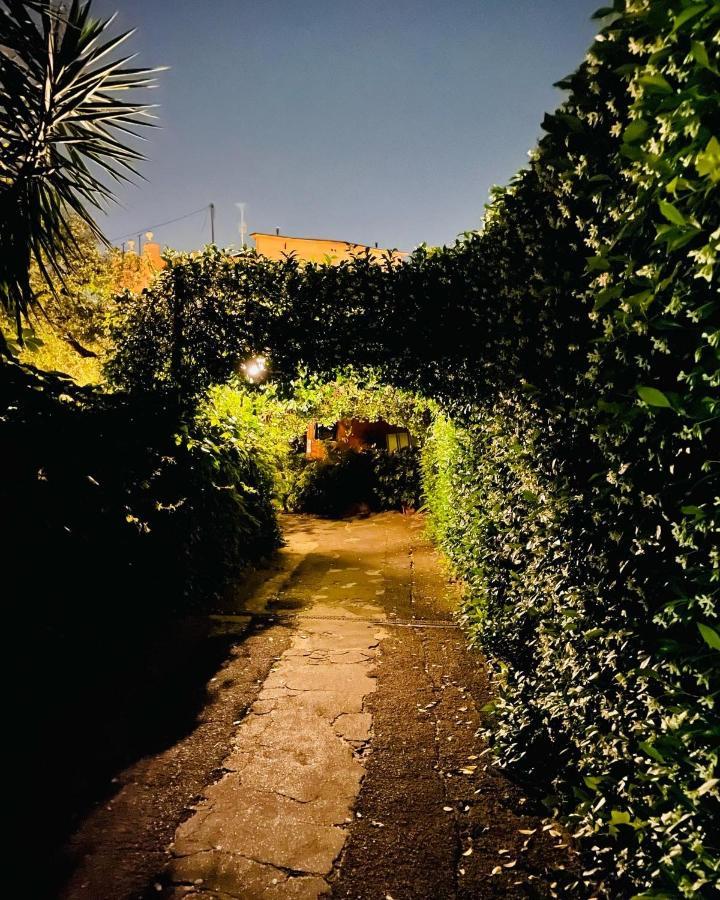 Cosy Studio In The Greenest Corner Of Trastevere Rome Luaran gambar